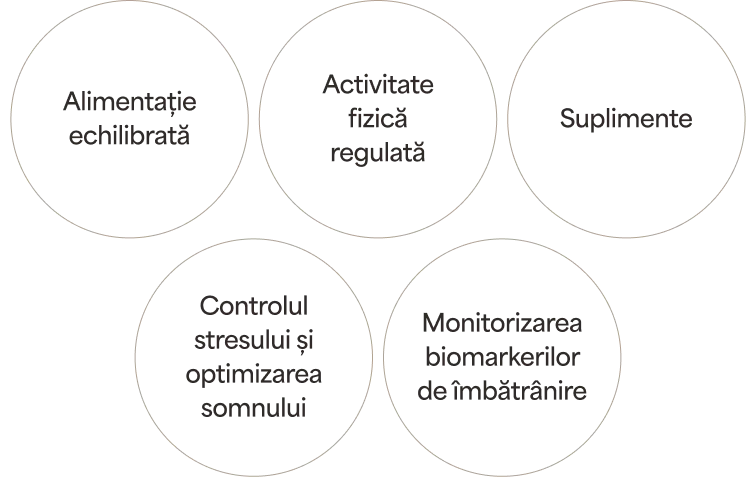 Cinci cercuri cu direcții de acțiune: alimentație echilibrată, activitate fizică regulată, suplimente, controlul stresului și optimizarea somnului, monitorizarea biomarkerilor de îmbătrânire